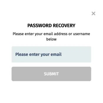 Screenshot of a password recovery interface, displaying fields for email and instructions for resetting a password.